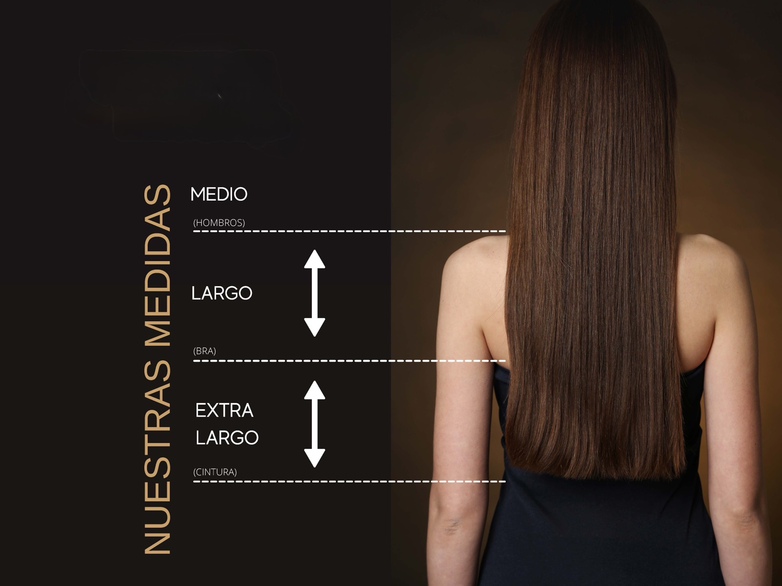 Guía de largos de cabello Tribeca: medio a la altura de los hombros, largo a la altura del sostén y extra largo a la cintura.